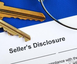 what are Real estate disclosures