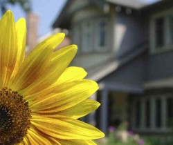 Sell home spring real estate